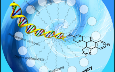 Frontispiece: The Potential of Micellar Media in the Synthesis of DNA-Encoded Libraries